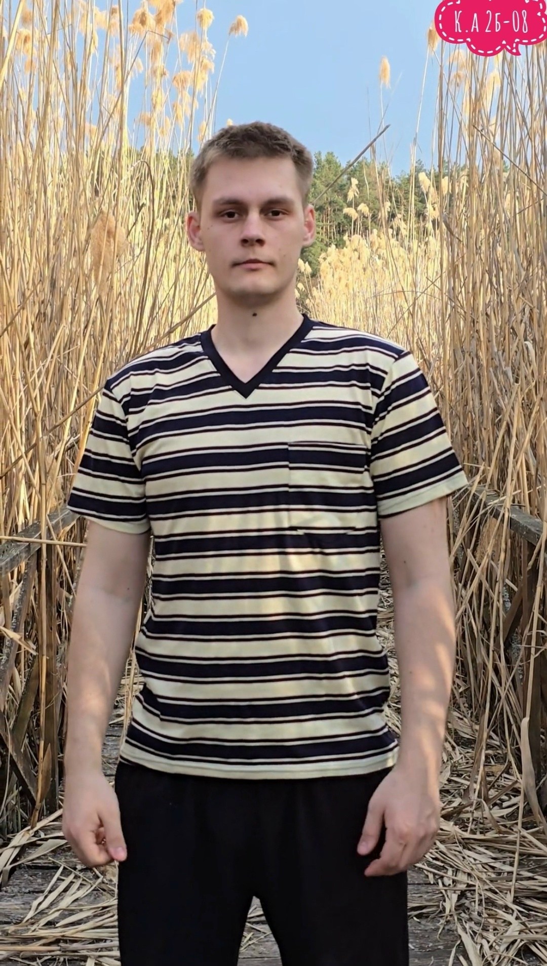 футболка мужская в полоску,мужская футболка,футболка мужская синий,мужчина,футболка мужская в синюю широкую полоску