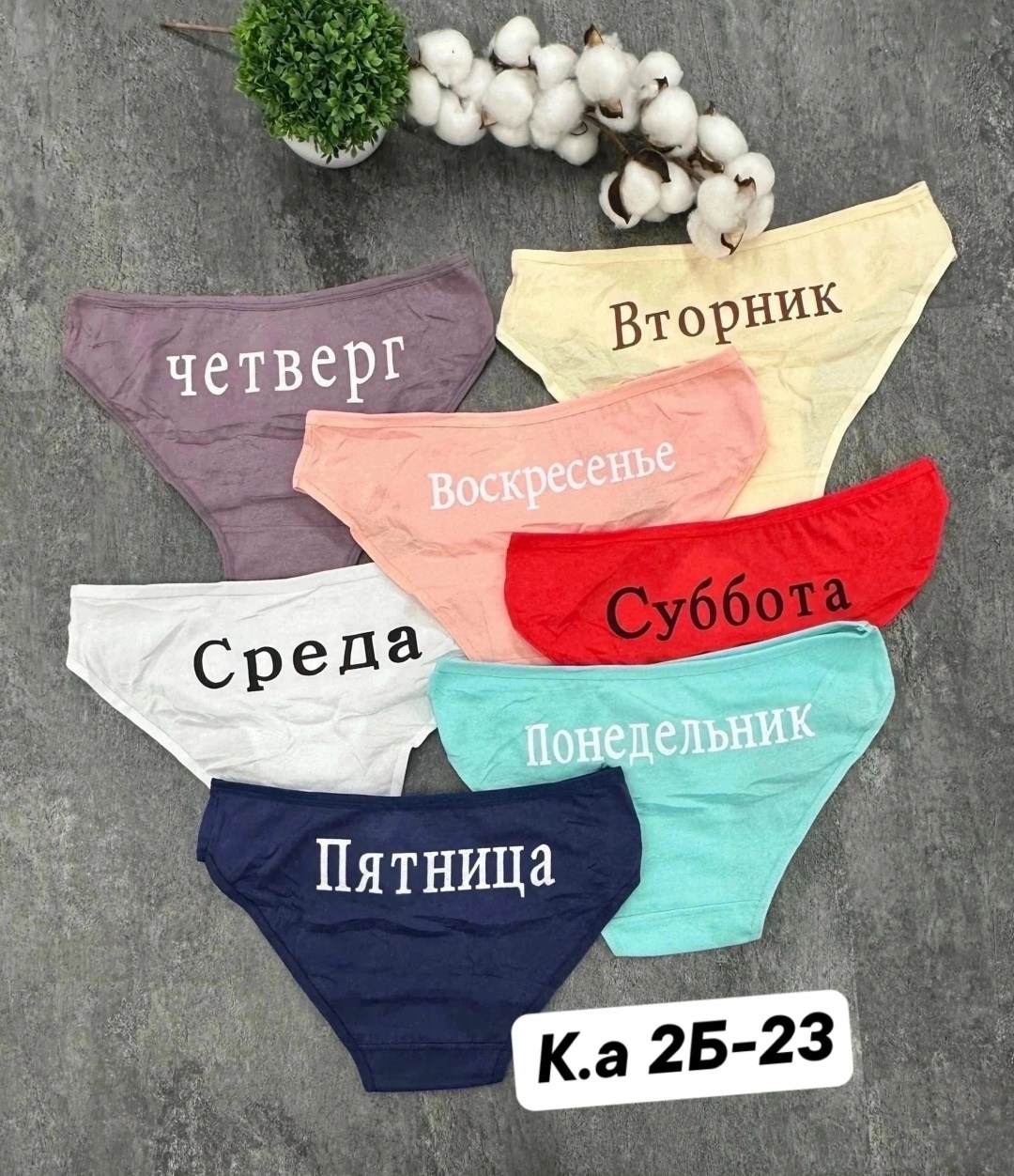 трусы женские неделька,трусы неделька,трусы неделька для женщины,трусы неделька 7 штук begain store,женские трусы