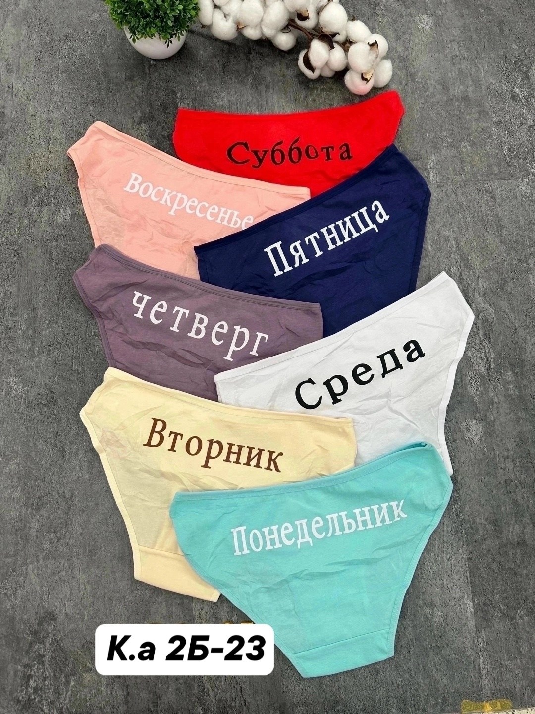 трусы женские неделька,трусы неделька,трусы неделька для женщины,трусы неделька 7 штук begain store,женские трусы