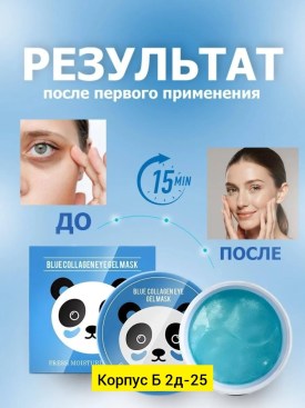 Одежда