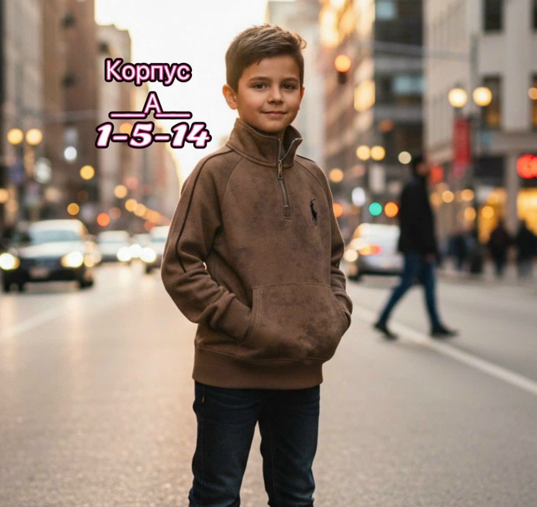 кофта для мальчика,толстовка для мальчиков,свитшот для мальчика с начесом,cвитшот для мальчика,джемпер для мальчика