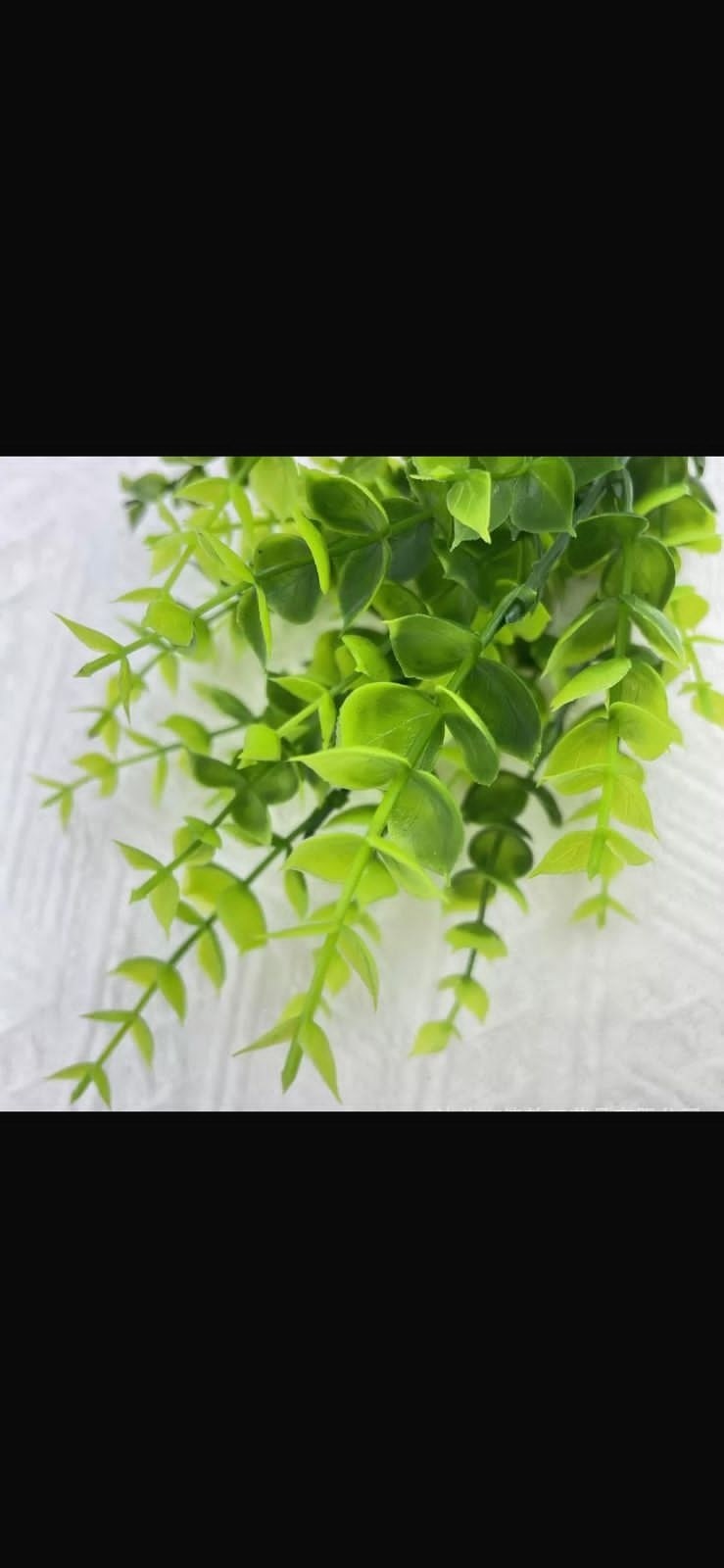 искусственная ветка эвкалипт,растение эвкалипт,искусственное растение эвкалипт,листья эвкалипт,искусственная зелень эвкалипт