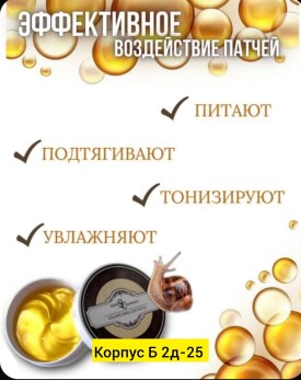Одежда
