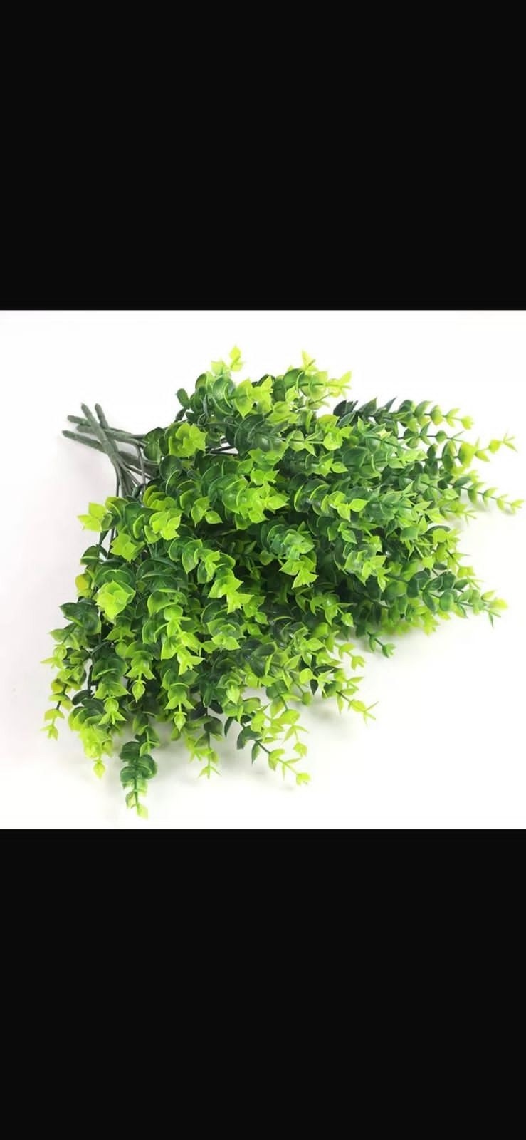 искусственная ветка эвкалипт,растение эвкалипт,искусственное растение эвкалипт,листья эвкалипт,искусственная зелень эвкалипт
