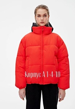 Верхняя одежда