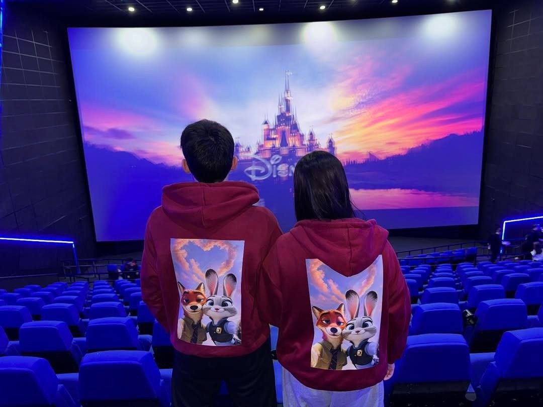 театр,театр места,театральные кресла,cinema seats,зрительный зал