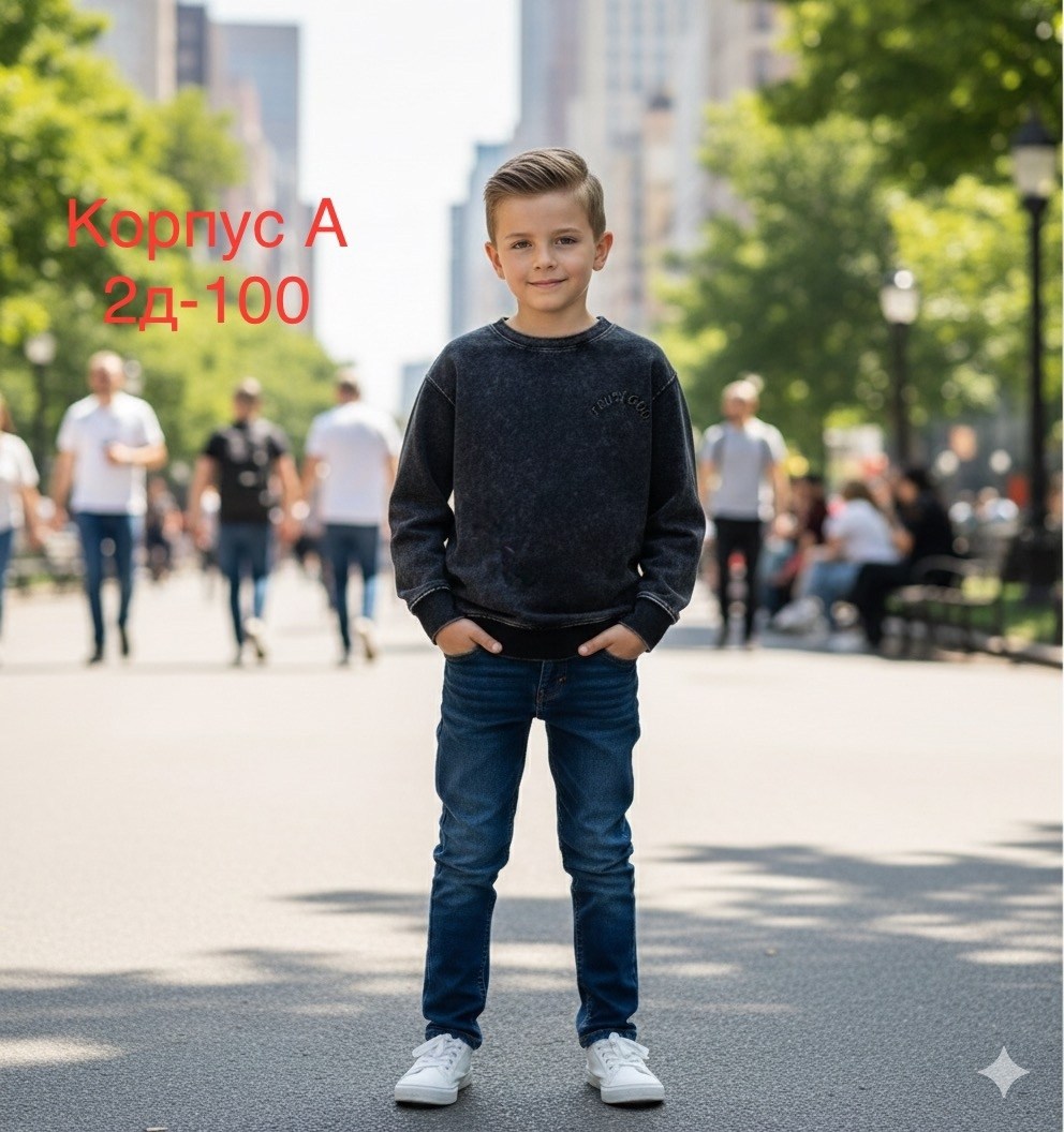 повседневный свитшот,свитшот мужской,мужские свитшоты,толстовка в стиле,свитшот