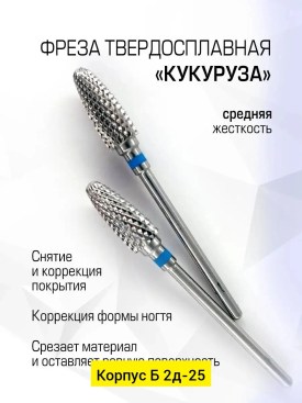 Одежда