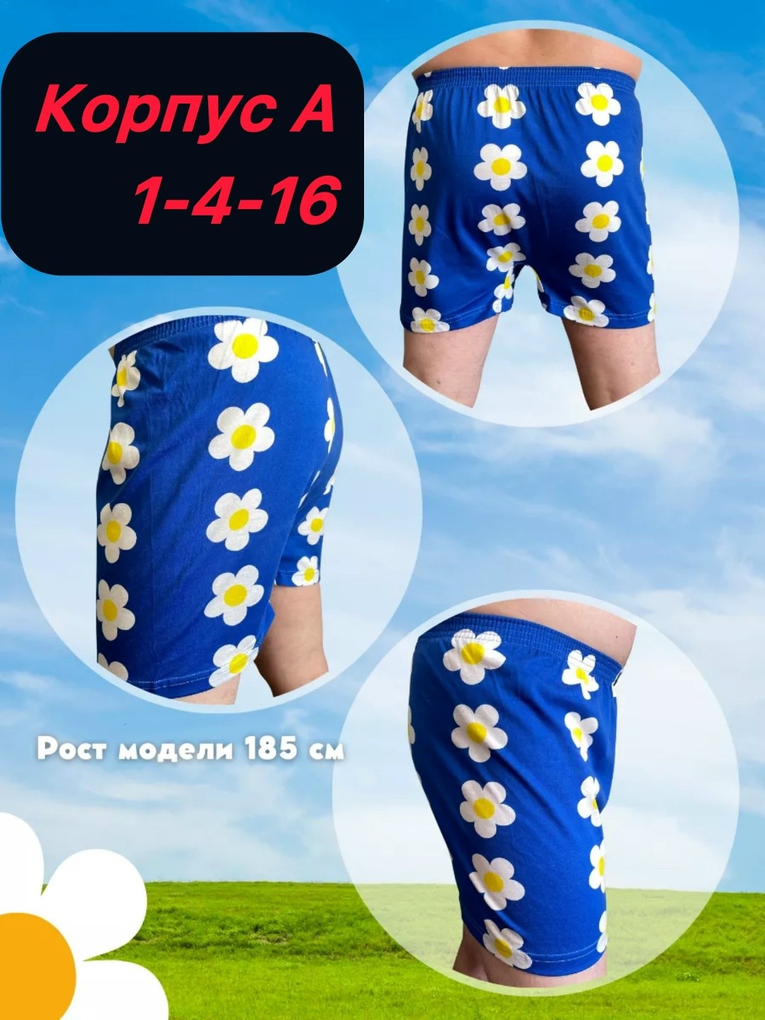 трусы мужские семейные,семейные трусы в ромашку,трусы семейные в ромашку мужские,трусы семейные,трусы мужские семейные хлопок