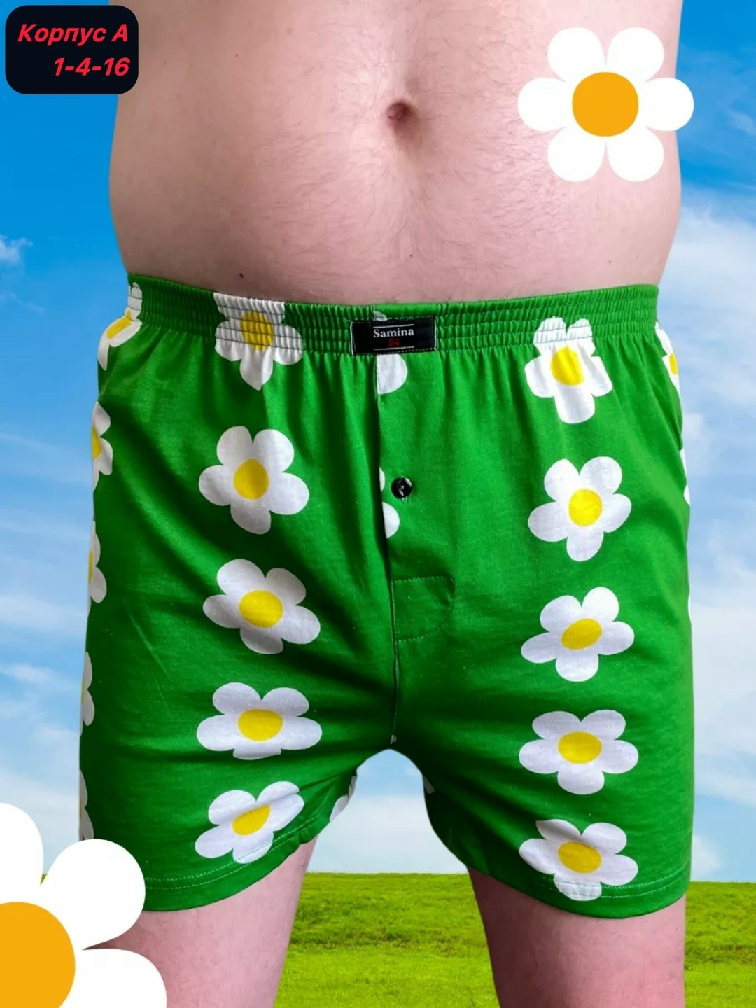 трусы мужские семейные,семейные трусы в ромашку,трусы семейные в ромашку мужские,трусы семейные,трусы мужские семейные хлопок