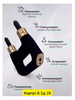 Одежда