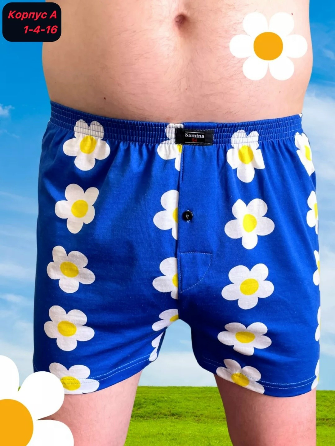 трусы мужские семейные,семейные трусы в ромашку,трусы семейные в ромашку мужские,трусы семейные,трусы мужские семейные хлопок