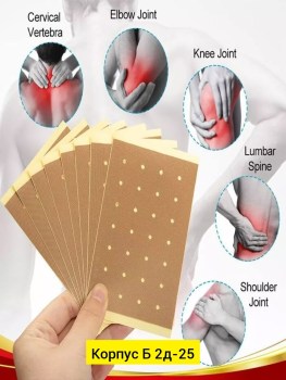 Одежда