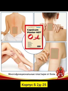 Одежда