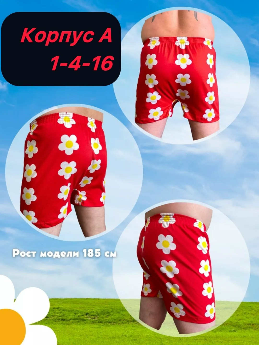 трусы мужские семейные,семейные трусы в ромашку,трусы семейные в ромашку мужские,трусы семейные,трусы мужские семейные хлопок