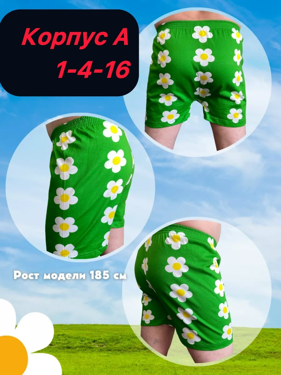 трусы мужские семейные,семейные трусы в ромашку,трусы семейные в ромашку мужские,трусы семейные,трусы мужские семейные хлопок