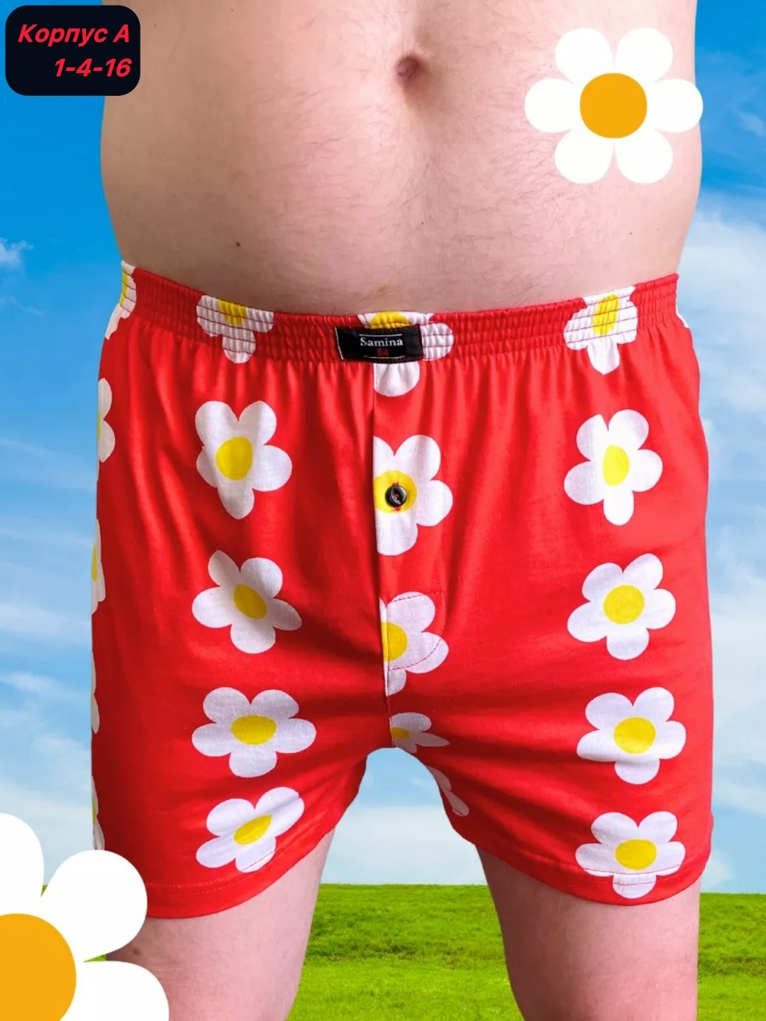 трусы мужские семейные,семейные трусы в ромашку,трусы семейные в ромашку мужские,трусы семейные,трусы мужские семейные хлопок