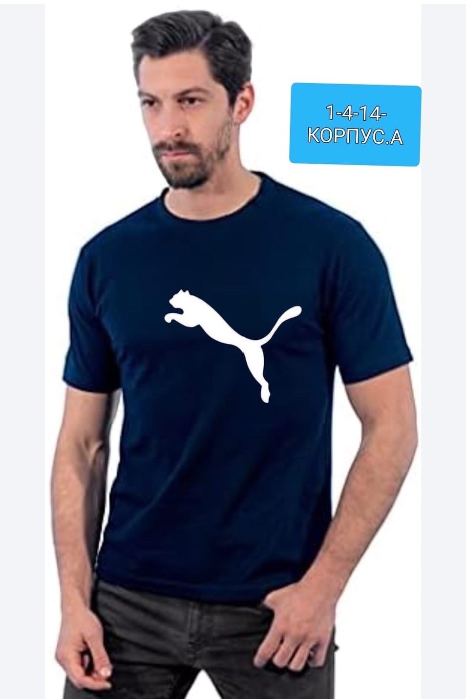 мужские футболки lacoste,футболка lacoste,lacoste мужские,футболки мужские,lacoste логотип