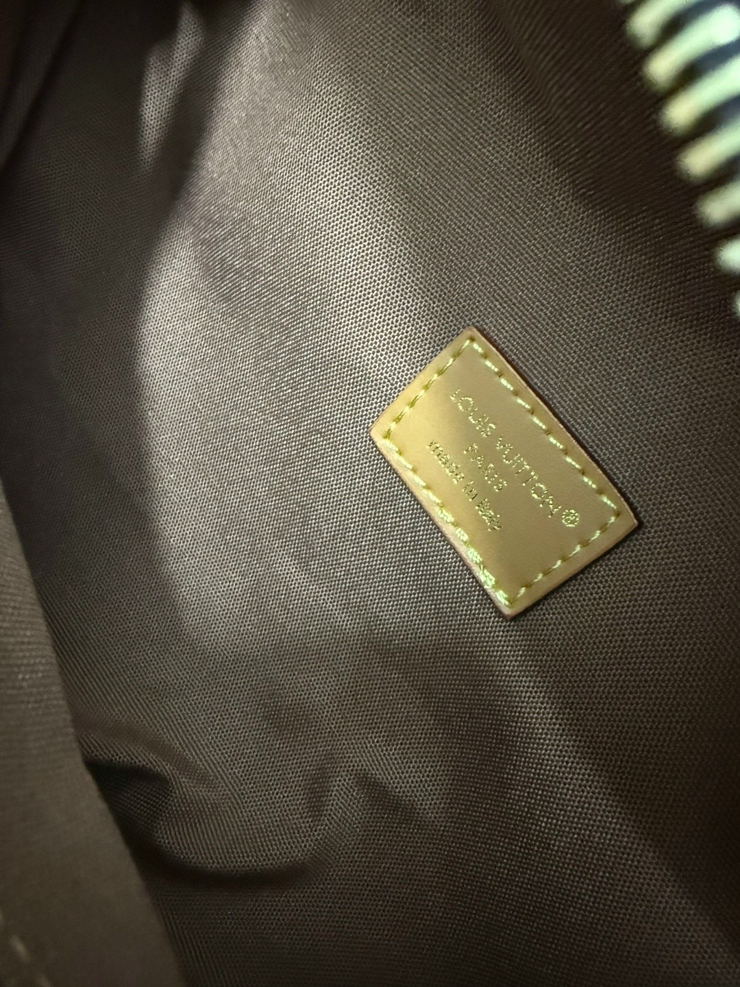 louis vuitton поясная сумка,louis vuitton сумка на пояс,луи виттон сумка,сумкa louis vuitton,женская поясная сумка louis vuitton bumbag