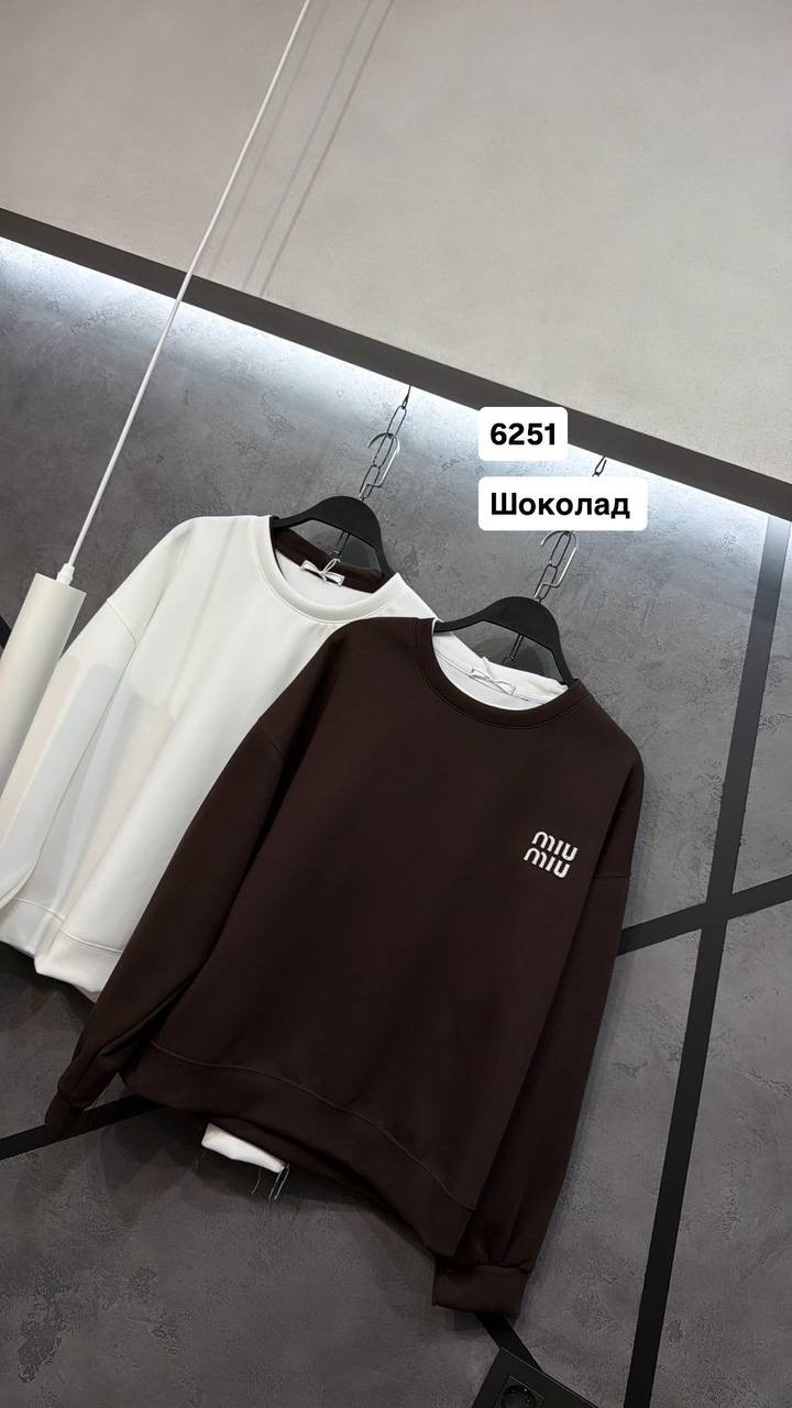 свитшот женская,свитшот led арт.fw24/cs/ss/006/br цвет: коричневый,свитшот оверсайз,свитшот коричневый,свитшот