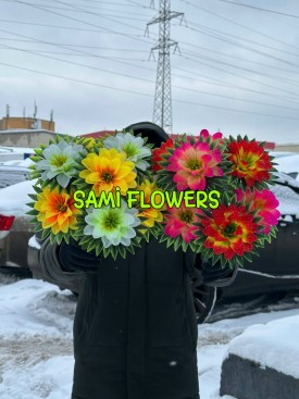 Одежда