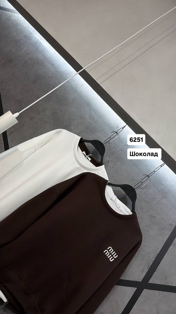 свитшот женская,свитшот led арт.fw24/cs/ss/006/br цвет: коричневый,свитшот оверсайз,свитшот коричневый,свитшот