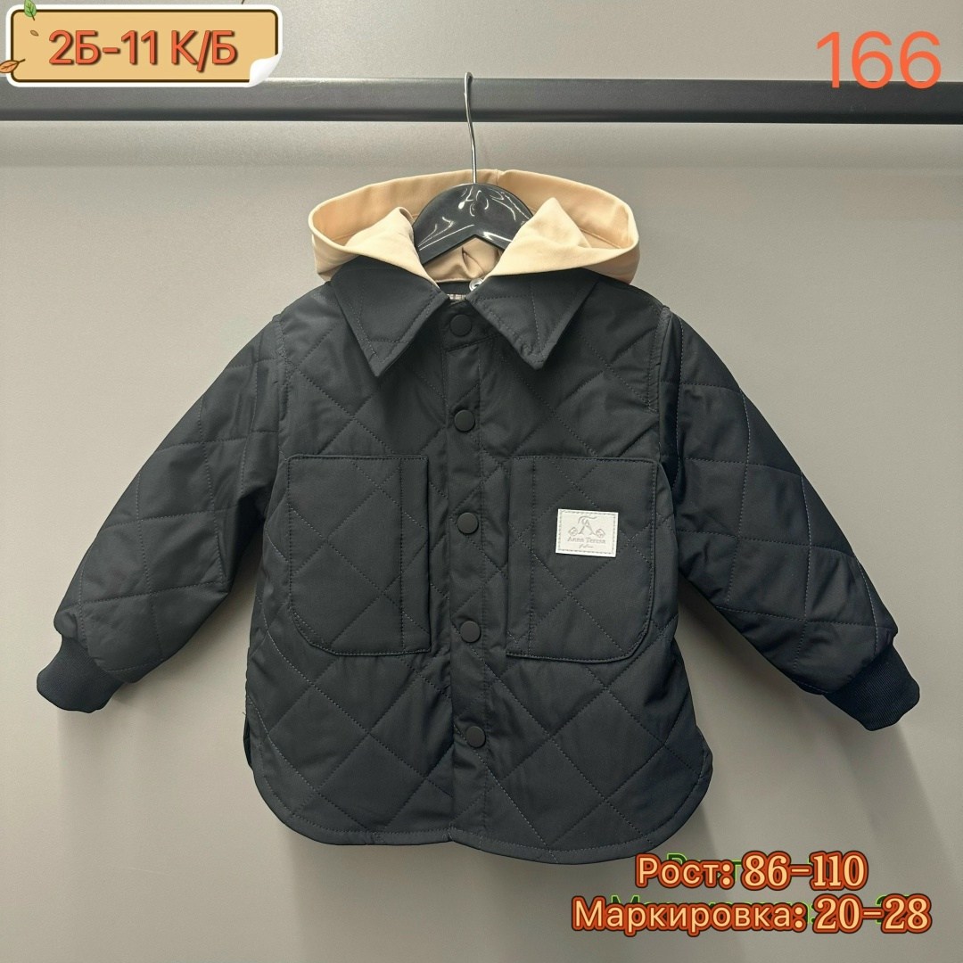 куртка демисезонная для мальчик,куртка для малыша,куртка демисезонная,куртка,куртка для мальчика