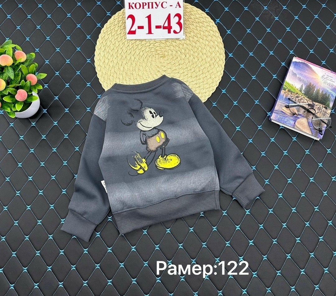 cвитшот для мальчика,детская кофта,cвитшот для девочки,свитшот для малыша,толстовка для мальчиков