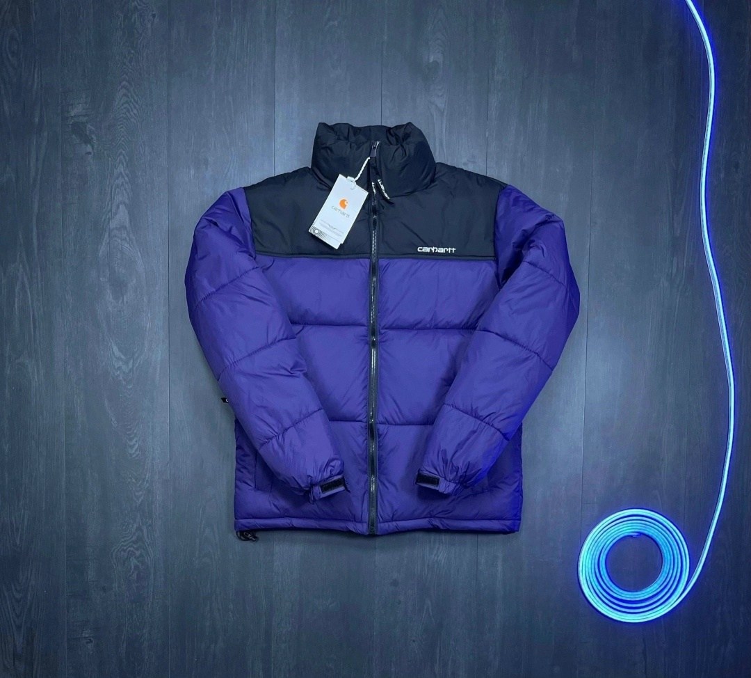 пуховик the north face gucci,зимняя куртка пуховик gucci x the north face,зимняя куртка the north face,пуховик the north face 700 gucci,куртка the north face x gucci цвет зеленый