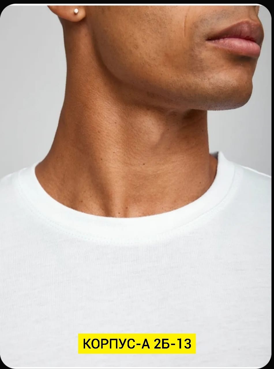 футболки мужские белые,футболка базовая мужская,футболка белая базовая,футболки белые,мужская футболка