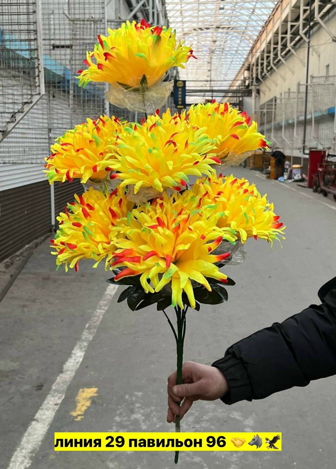 радужные хризантемы,радужные хризантемы букет,хризантемы цветные,хризантемы разноцветные,хризантемы