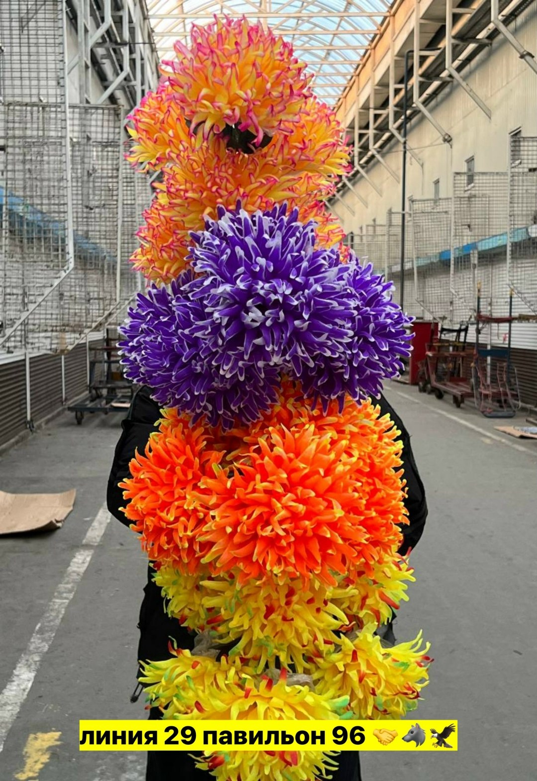 радужные хризантемы,радужные хризантемы букет,хризантемы цветные,хризантемы разноцветные,хризантемы