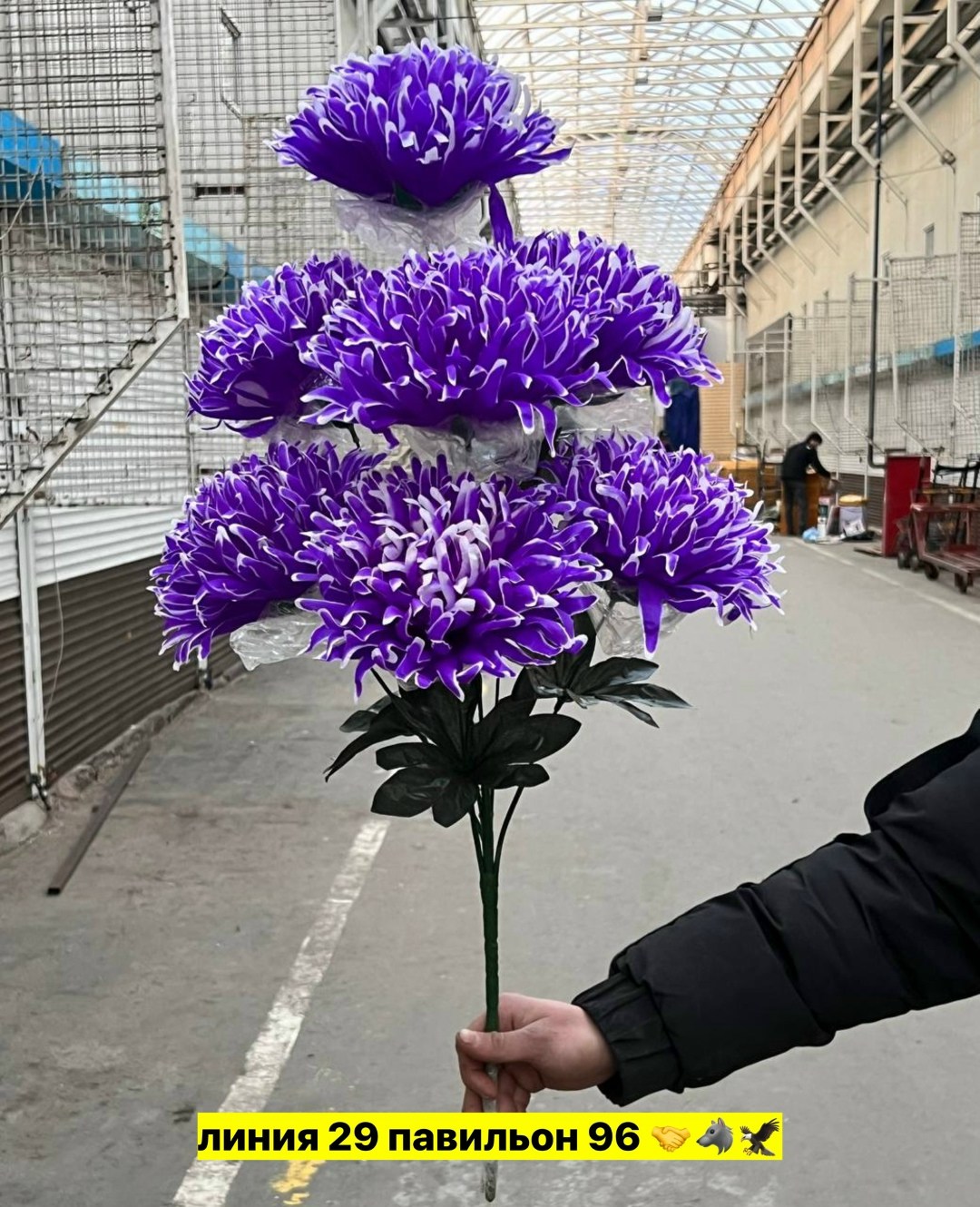 радужные хризантемы,радужные хризантемы букет,хризантемы цветные,хризантемы разноцветные,хризантемы