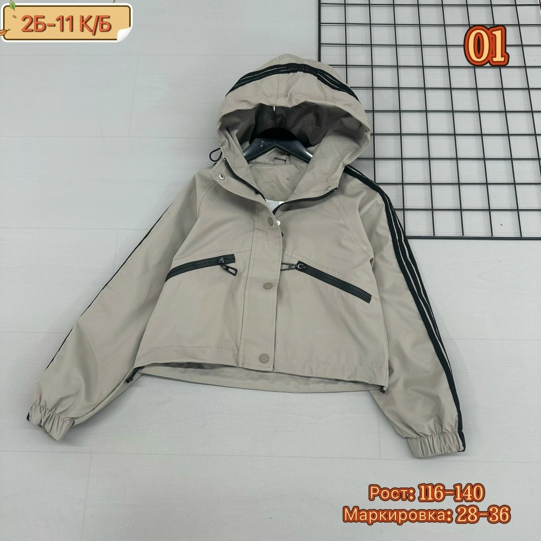 повседневная куртка,детская куртка,куртка,куртка женская,куртка модная