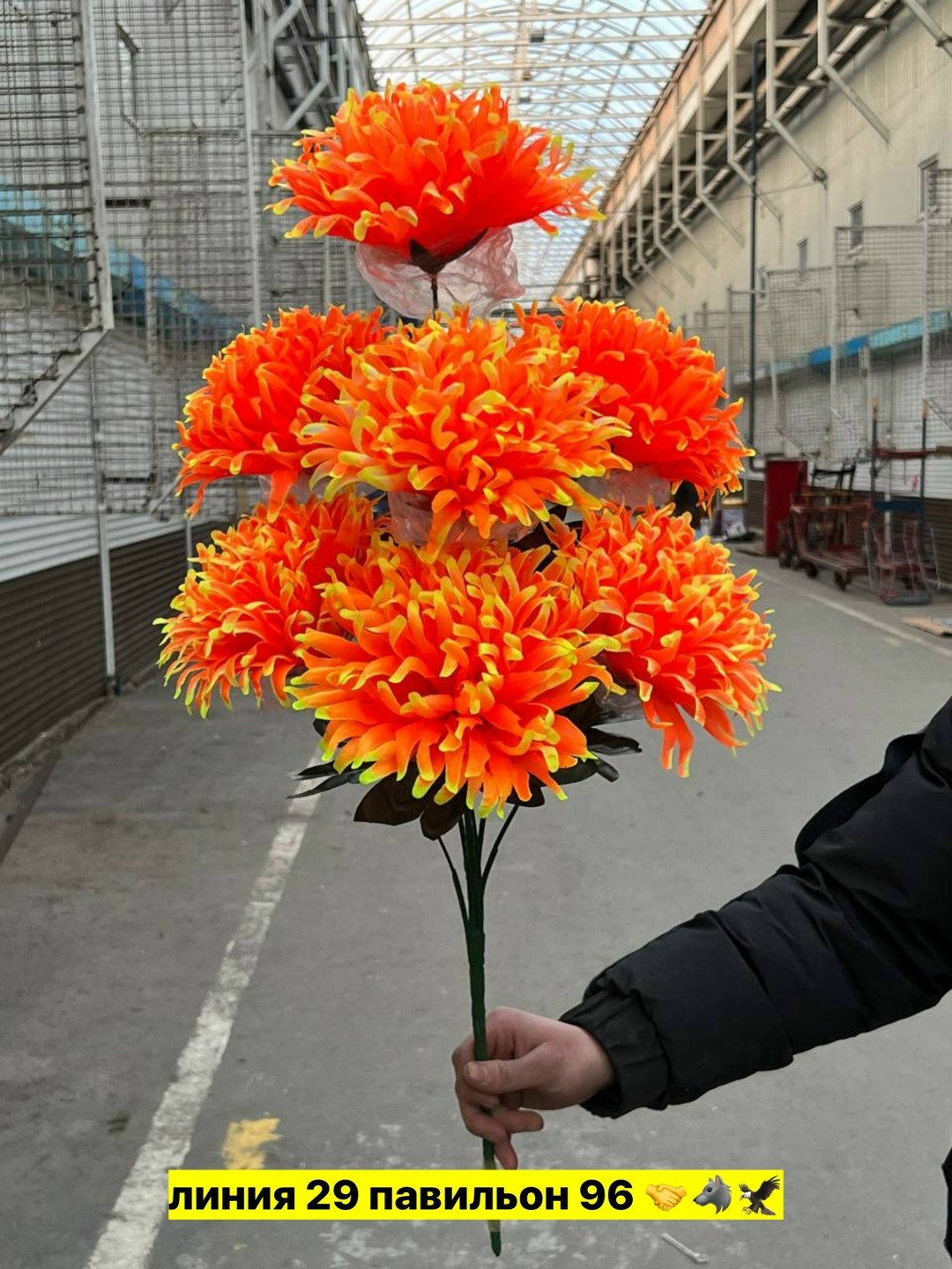 радужные хризантемы,радужные хризантемы букет,хризантемы цветные,хризантемы разноцветные,хризантемы