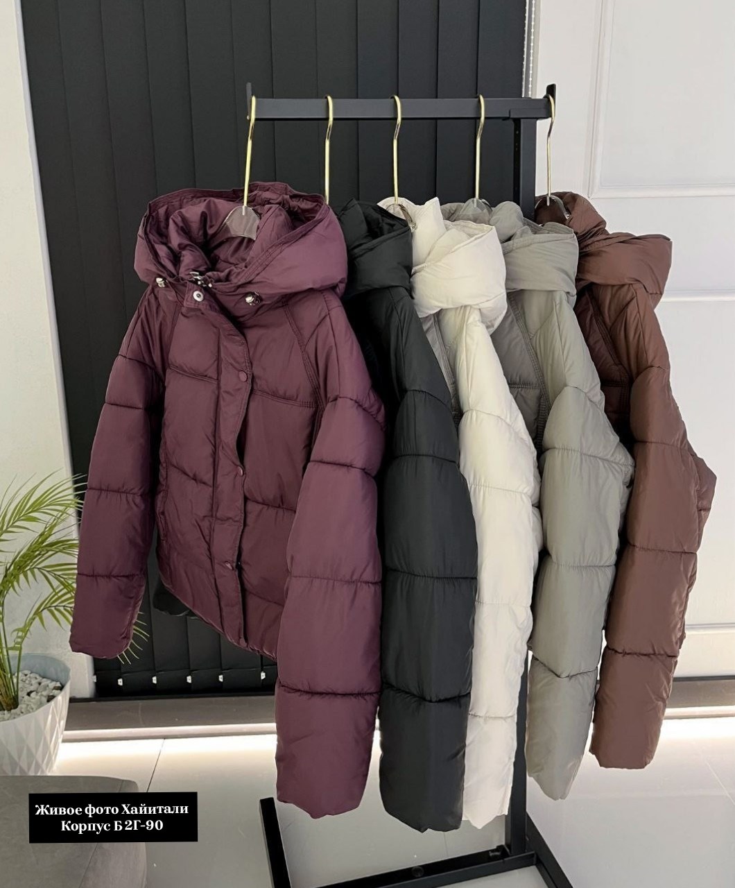 куртки ,женская куртка,куртка модная, куртки женские,куртка