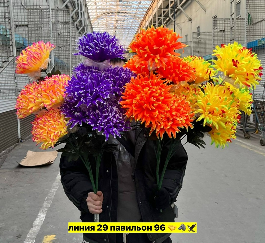 радужные хризантемы,радужные хризантемы букет,хризантемы цветные,хризантемы разноцветные,хризантемы