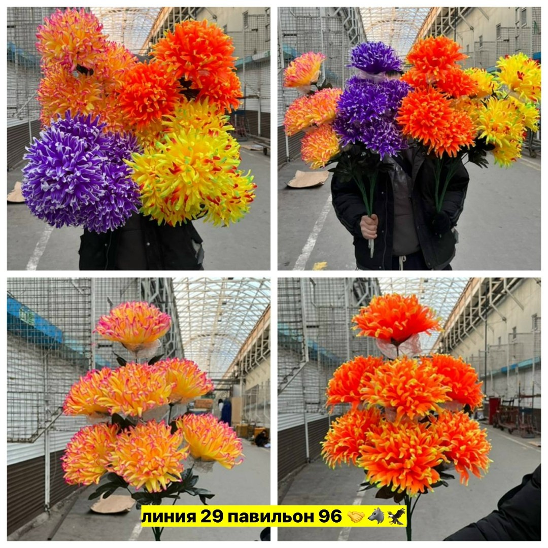 радужные хризантемы,радужные хризантемы букет,хризантемы цветные,хризантемы разноцветные,хризантемы