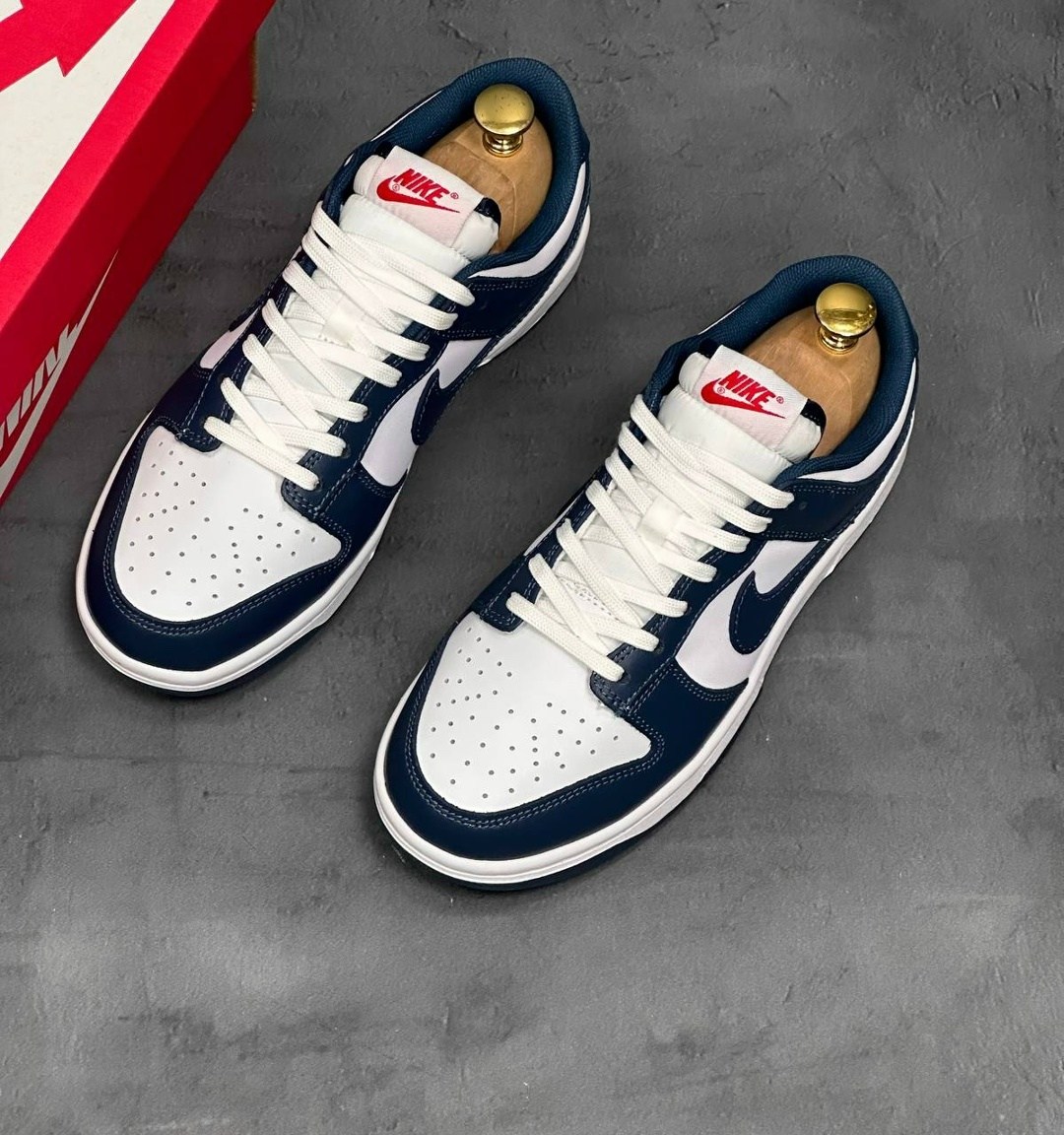 кроссовки nike sb dunk low,кроссовки dunk low nike,повседневные кроссовки,nike dunk low,кроссовки синие