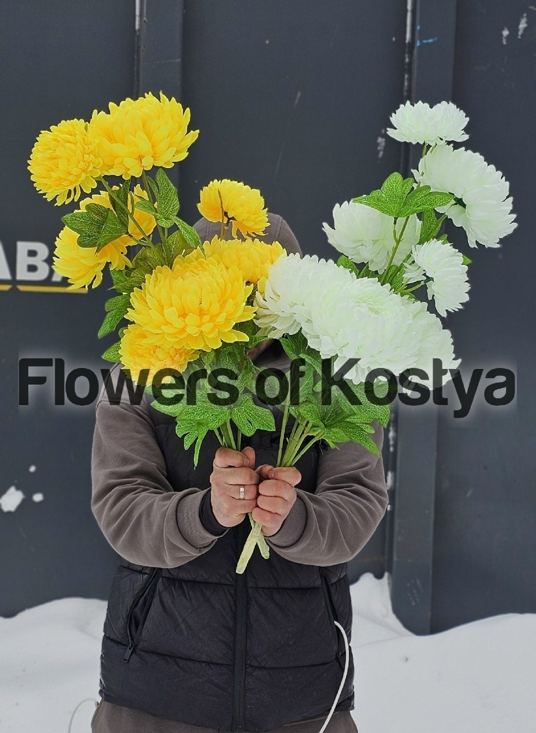 желтые хризантемы,хризантемы большие,букет,хризантема шаровидная одноголовая букет,хризантемы крупные