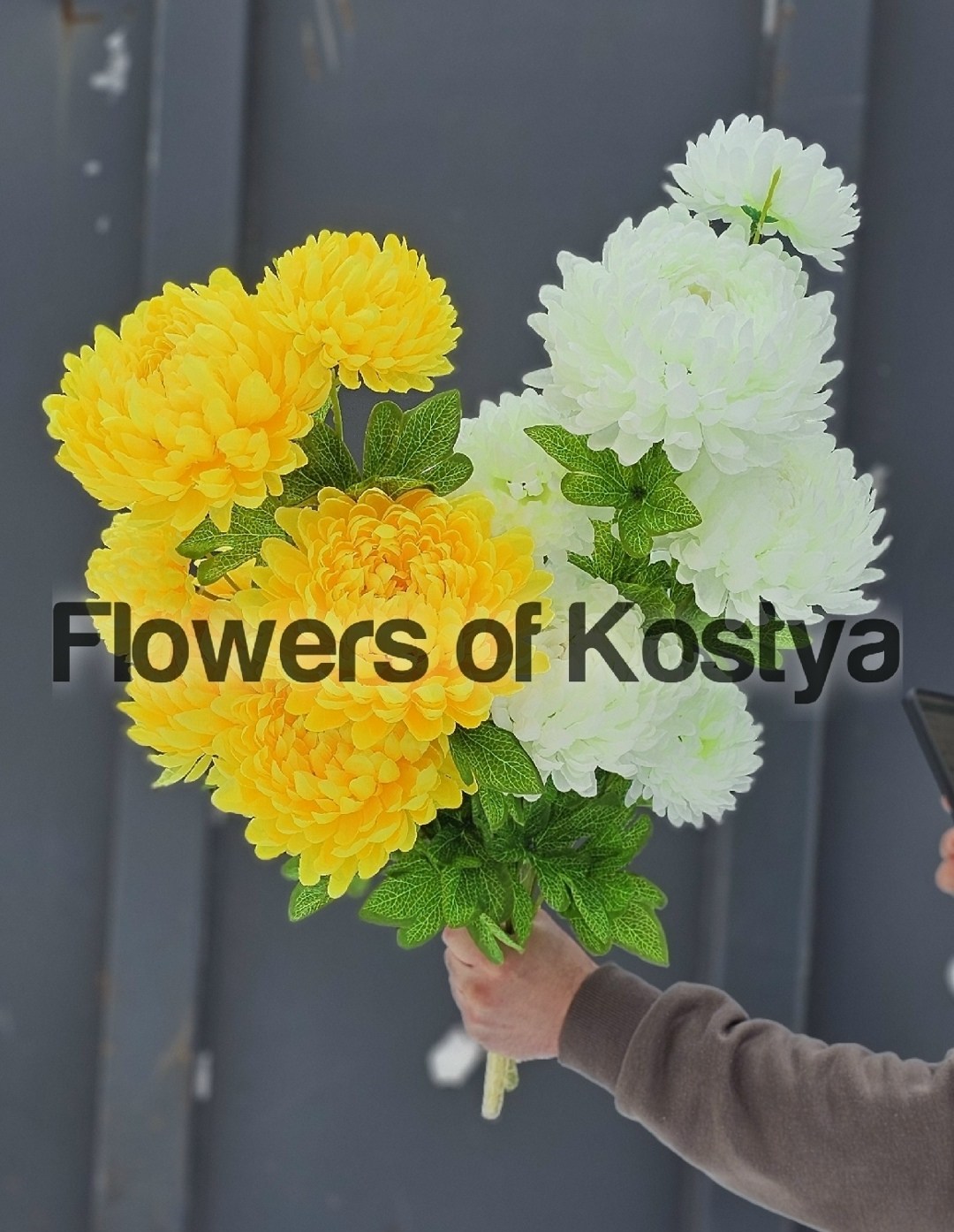 желтые хризантемы,хризантемы большие,букет,хризантема шаровидная одноголовая букет,хризантемы крупные