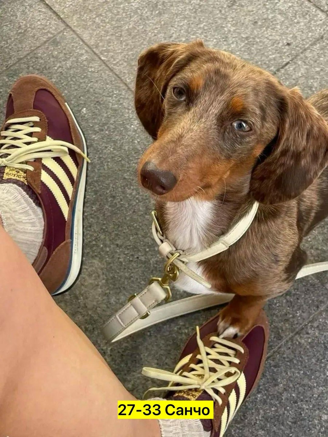 кроссовки adidas,кроссовки adidas sl 72,,кроссовки adidas sl72,мужские кроссовки