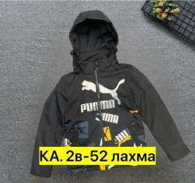 Верхняя одежда