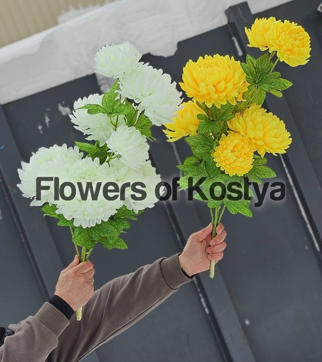 желтые хризантемы,хризантемы большие,букет,хризантема шаровидная одноголовая букет,хризантемы крупные
