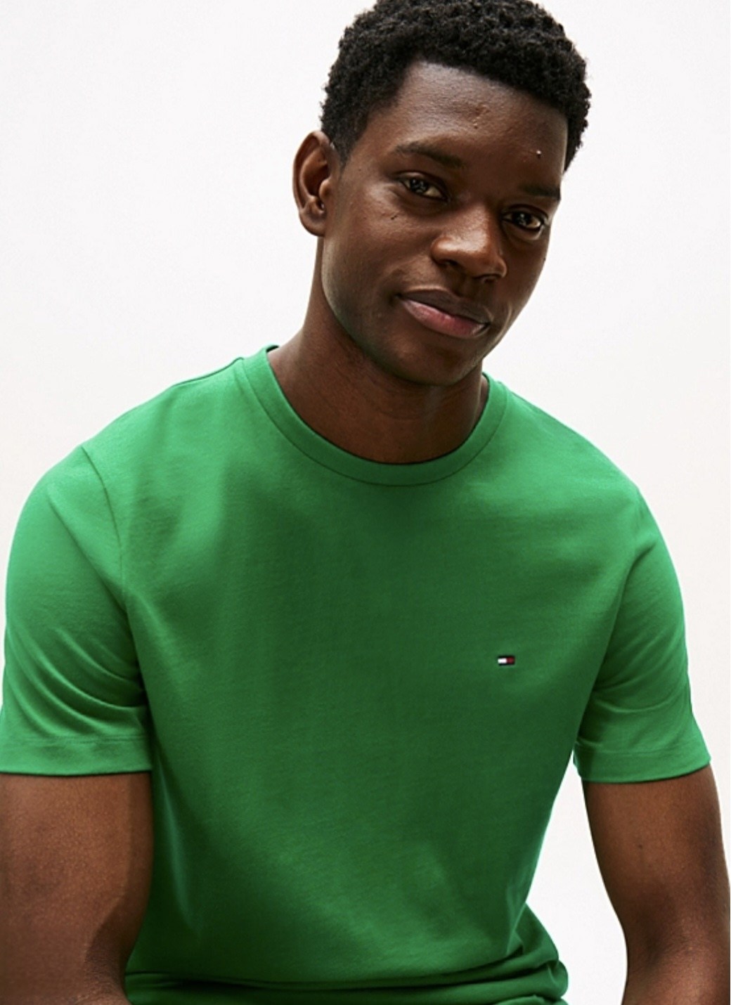 футболка мужская tommy hilfiger,футболка tommy hilfiger зеленый,хлопковая футболка tommy hilfiger,футболки tommy hilfiger,футболки мужские