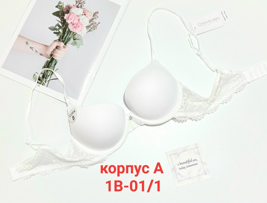 комплект женского нижнего белья,женское нижнее белье,бюстгальтер комплект,комплект нижнего белья,бюстгальтер