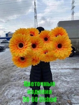 Новый год