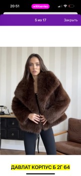 Верхняя одежда