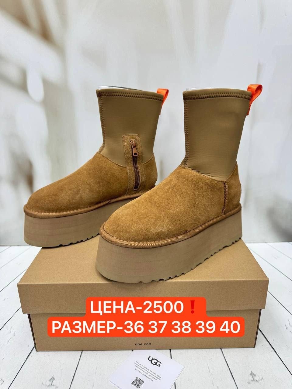 женские угги,,угги graciana,угги женские ugg,угги