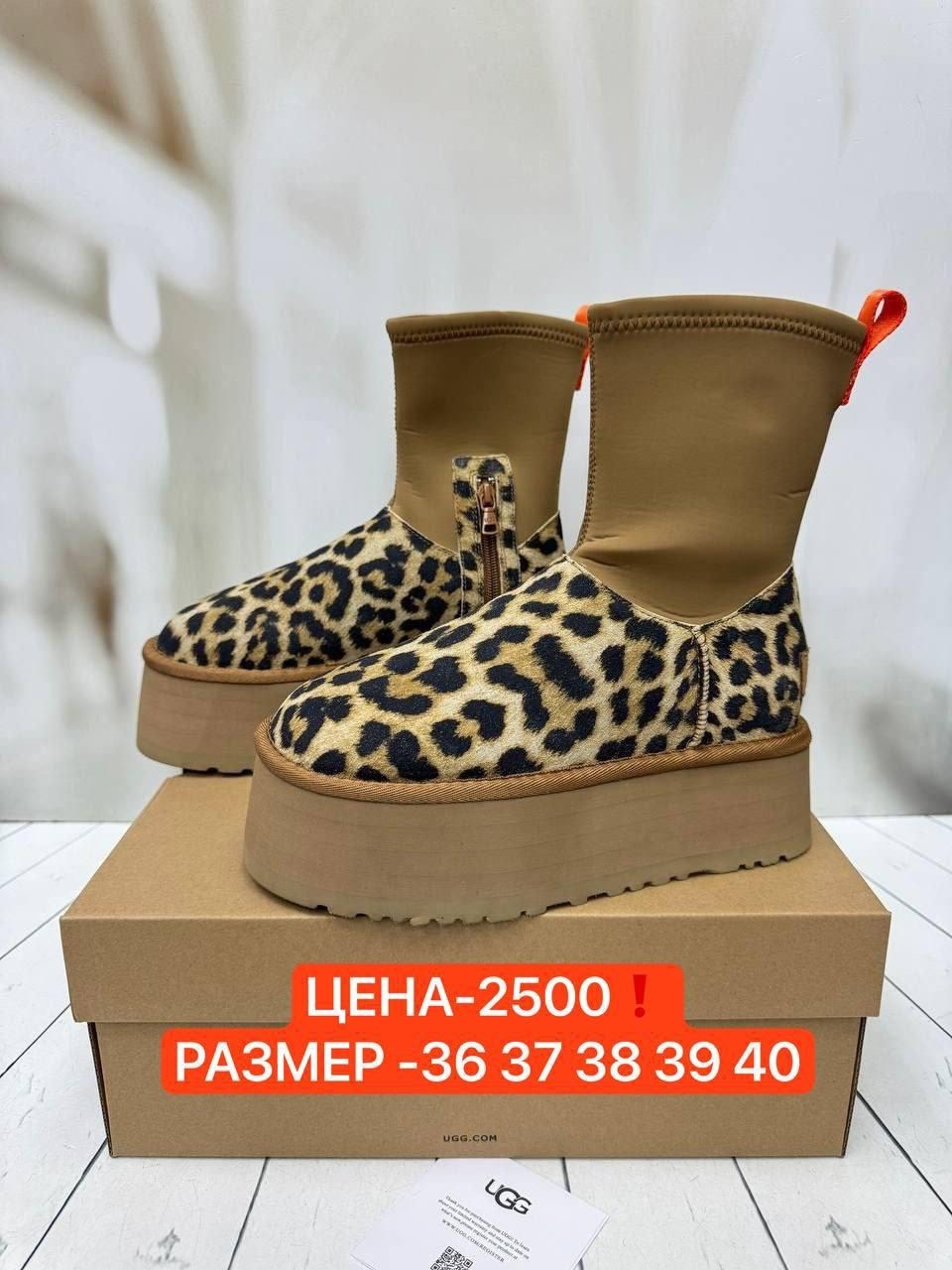 женские угги,,угги graciana,угги женские ugg,угги